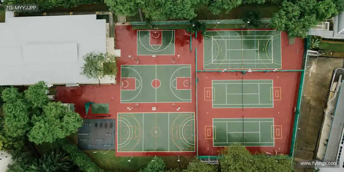 🎟️独家赛事，门票秒杀！🏆冠军之路，由你见证！